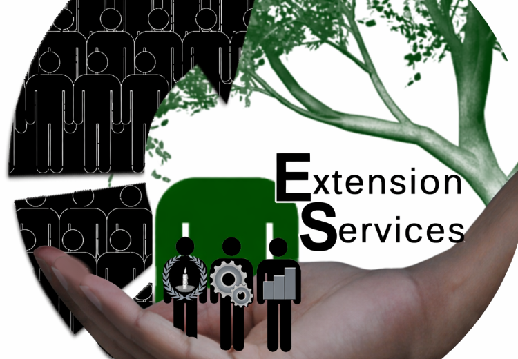 8debbaa1-785a-4c30-986f-b768ede36eb0 (1)